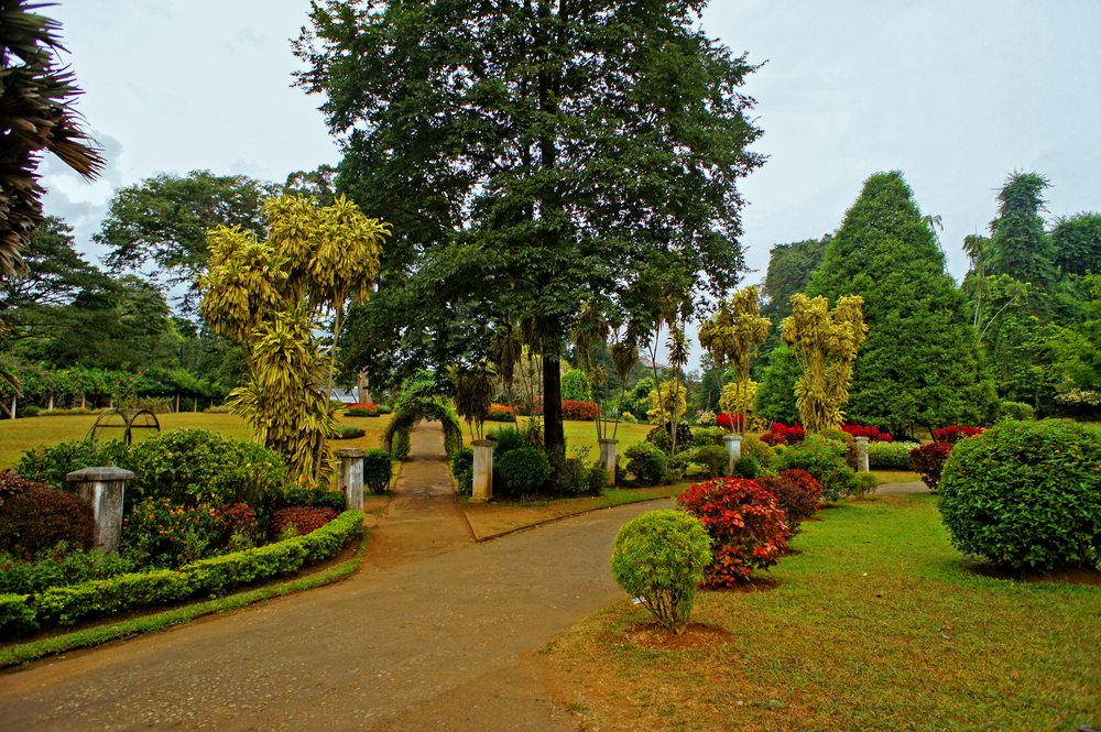 botanické záhrady