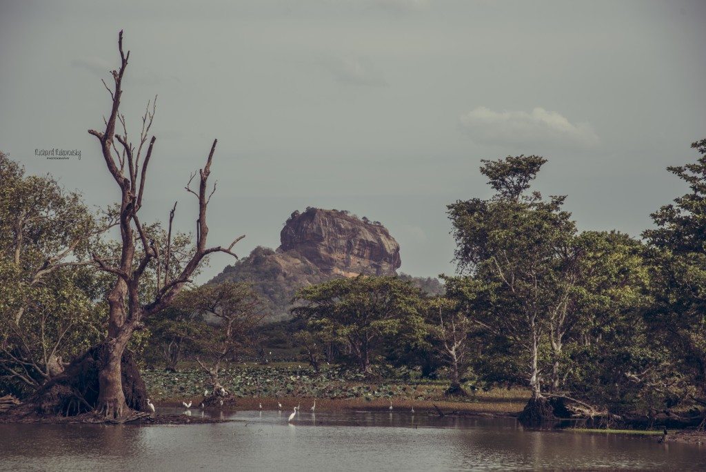 Výhľad na skalu Sigiriya