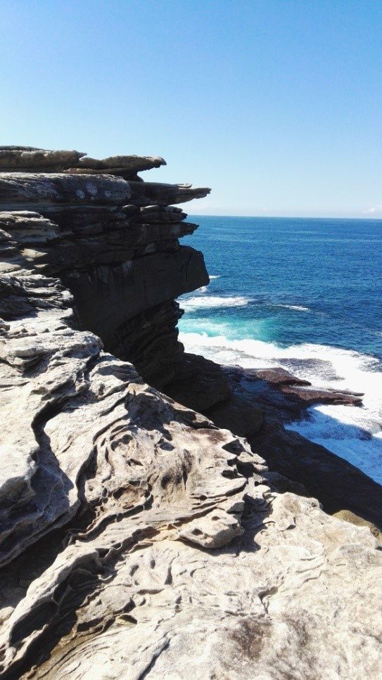 bondi plaze 3