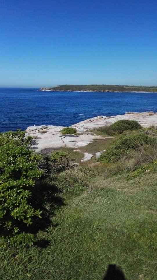 bondi plaze 4