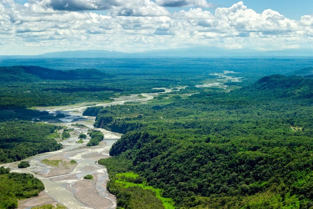 amazonsky-prales