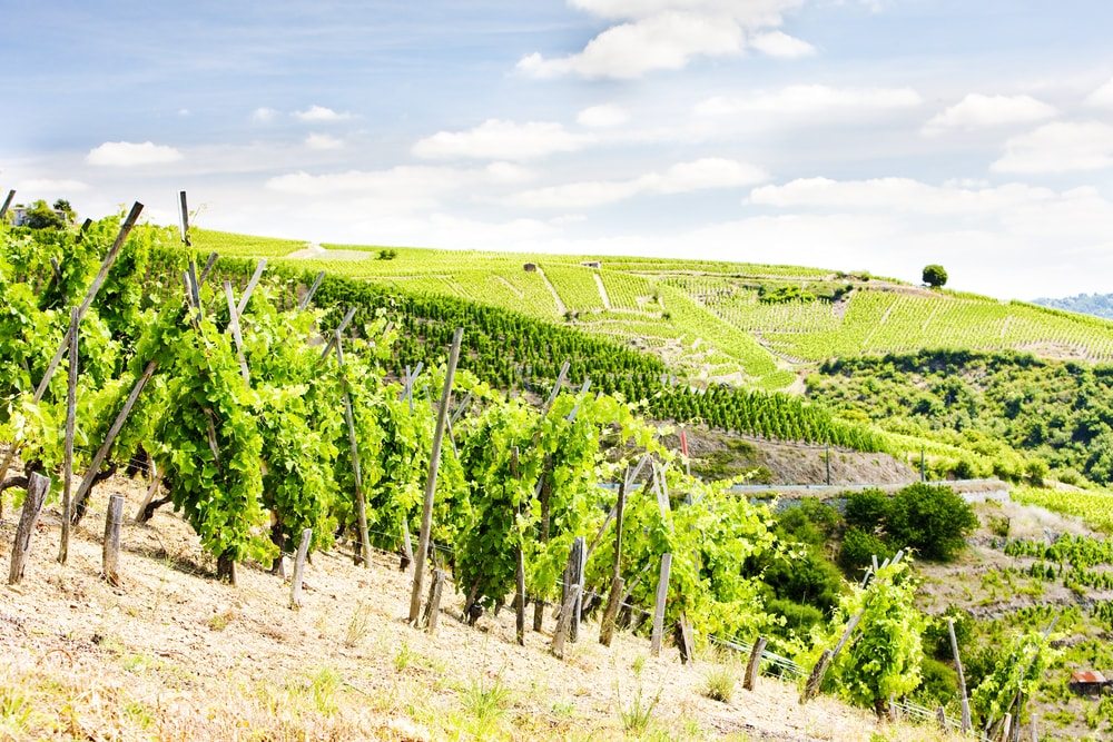 udolie-rhony
