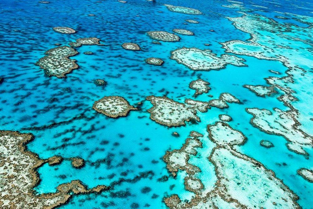 velky-koralovy-utes-australia