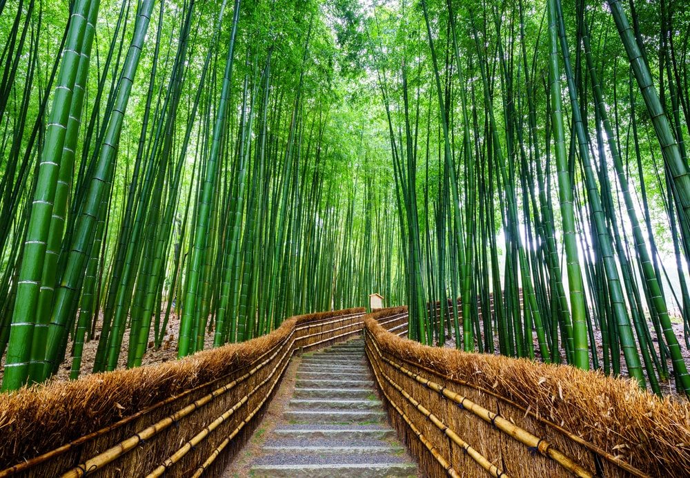 arashiyama-min
