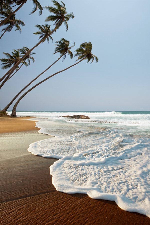 srilanka Srí Lanka z Bratislavy od 359 eur!