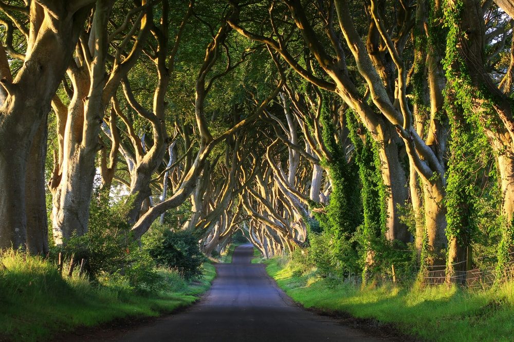 Game of Thrones alebo House of the Dragon? Tu je 18 miest z nakrúcania seriálov