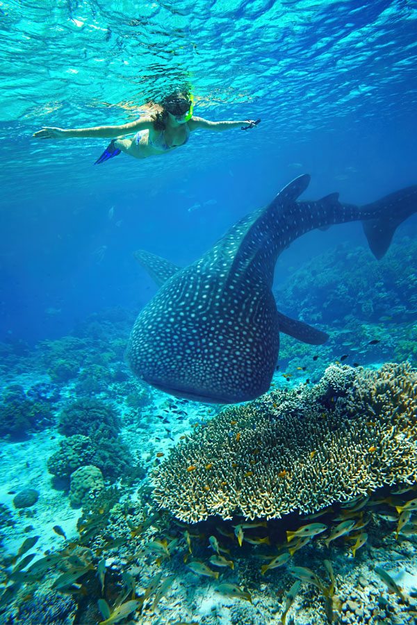 cebu Vianočný špeciál Eva Air: Cebu 549€, Bali 559€