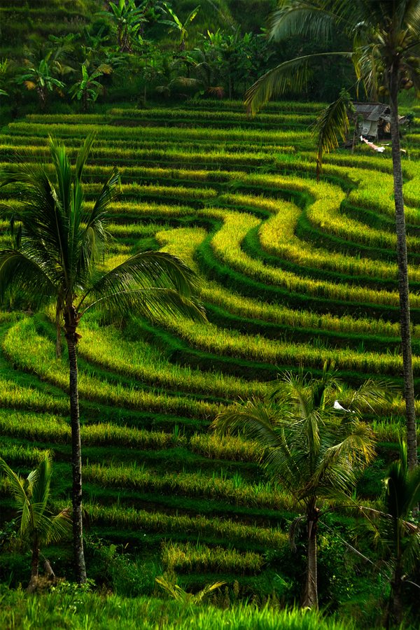 bali Bali, Taipei a Bangkok jednou cestou za 629 eur!