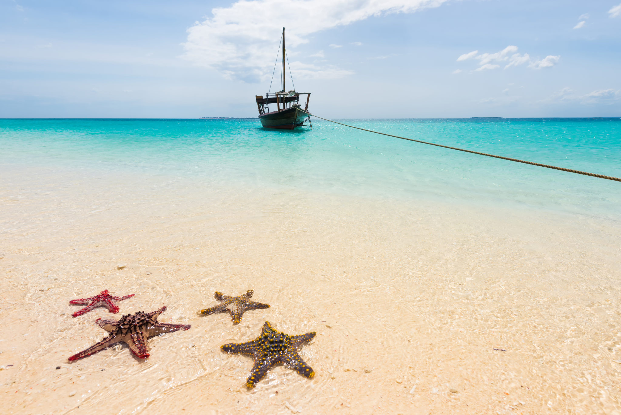 zanzibar odliv Výpredaj KLM: Zanzibar z Budapešti za 499€!