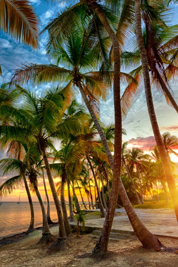 MARTINIK-GUADELOUPE Martinik a Guadeloupe s Air France/KLM za 419 €! (iba dnes)