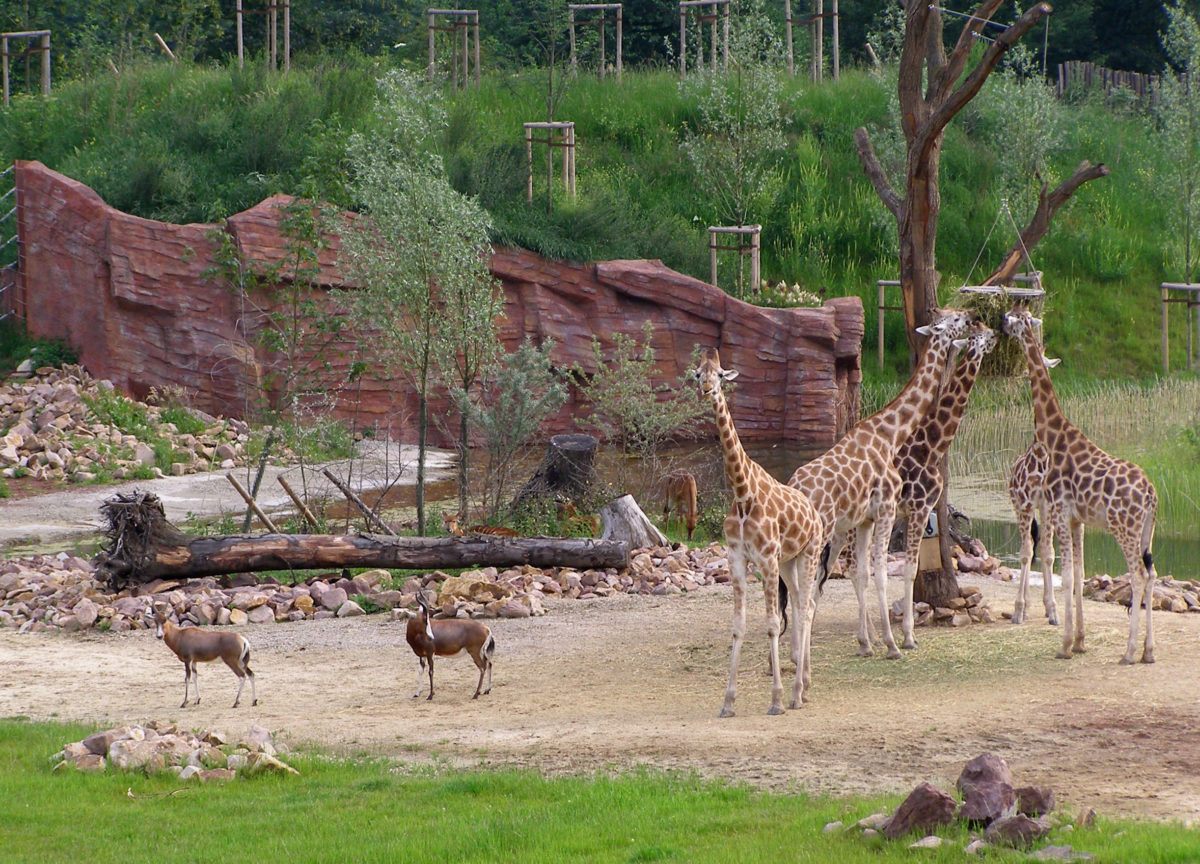 Gelsenkirchen Zoo
