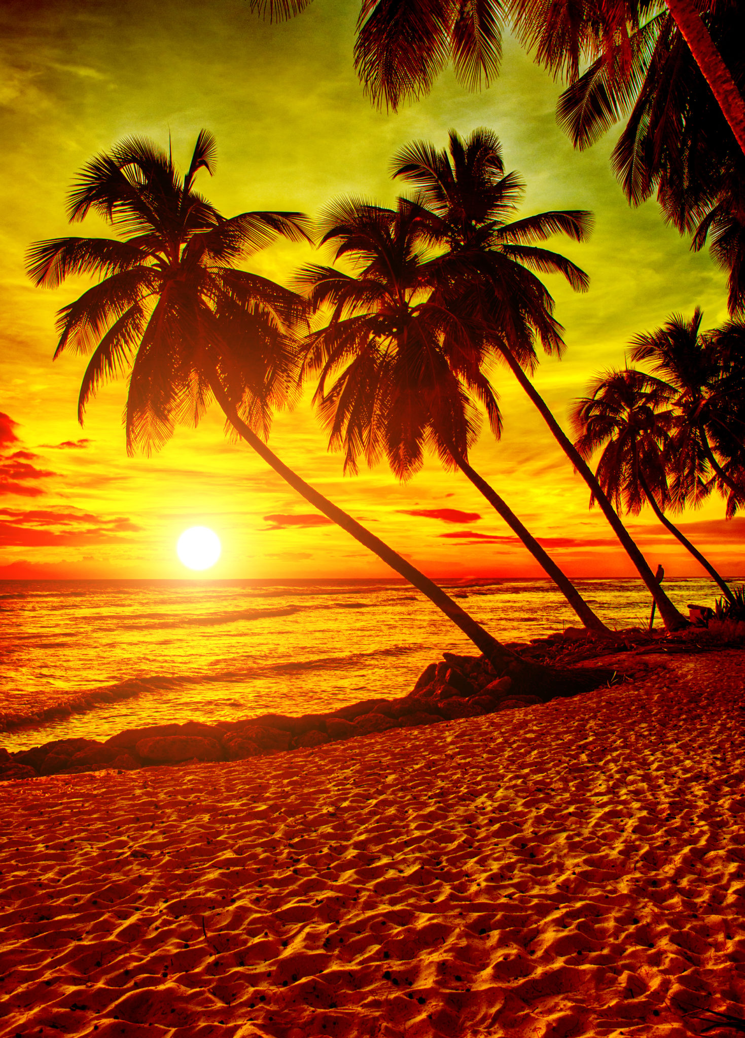 barbados plaze Horúci Barbados a Svätý Vincent v zime z Viedne od 499 EUR! (batožina v cene)