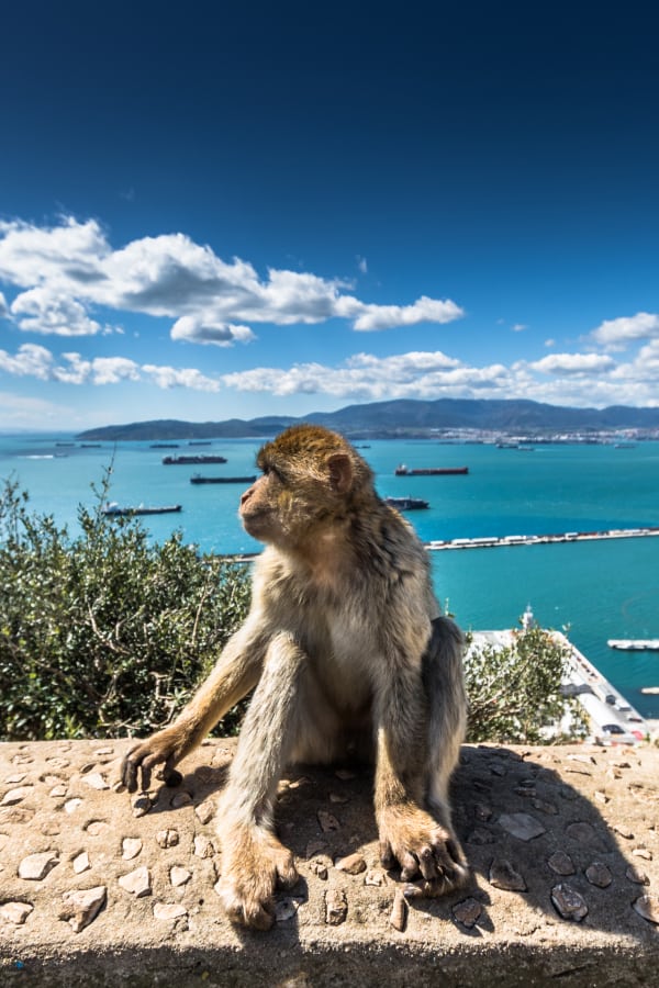 Potulky Andalúziou a Gibraltárom so slovenským sprievodcom už od 727 eur