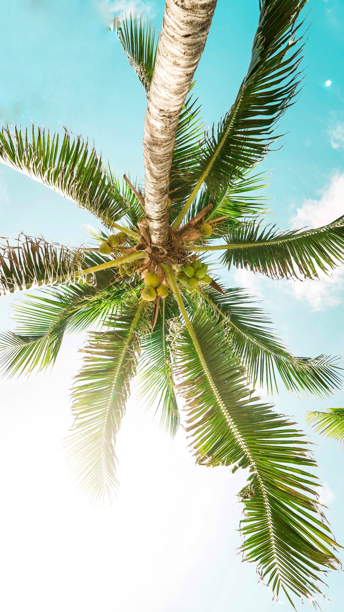 Mexický Cozumel je krásny a neobjavený ostrov, no objavili sme LETENKY za 509€!