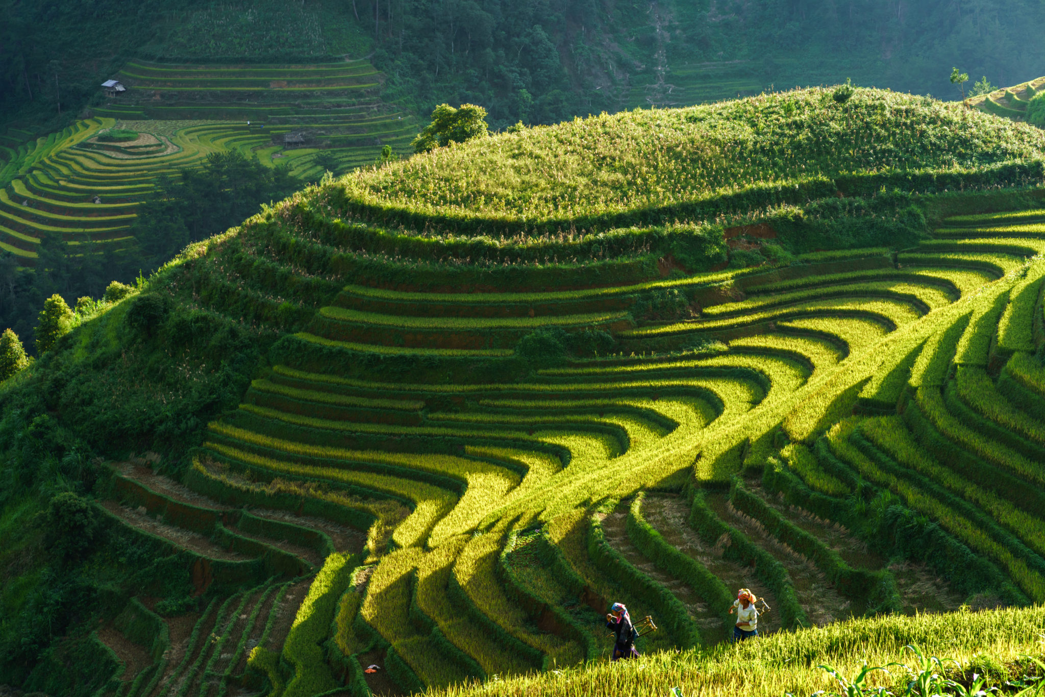Nádherný Vietnam s letenkou od 299€!