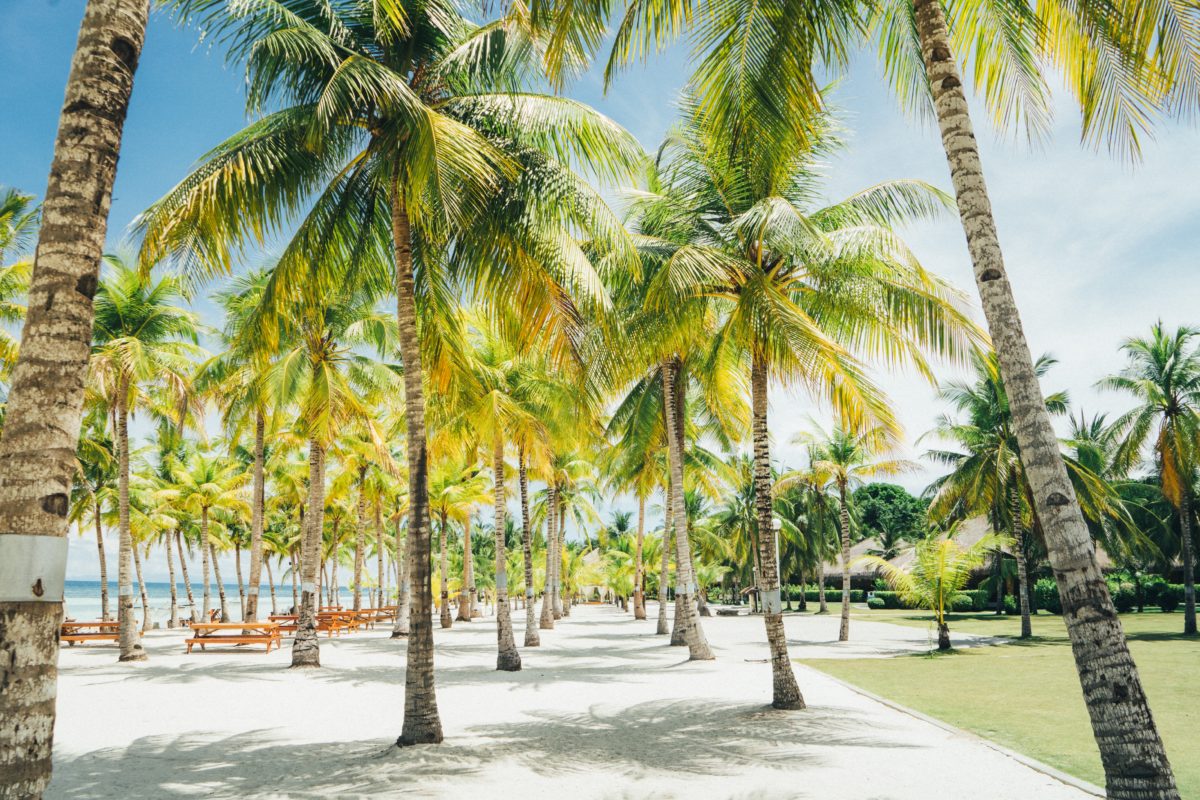 Ak pôjdeš na Filipíny, nevynechaj ostrov Bohol
