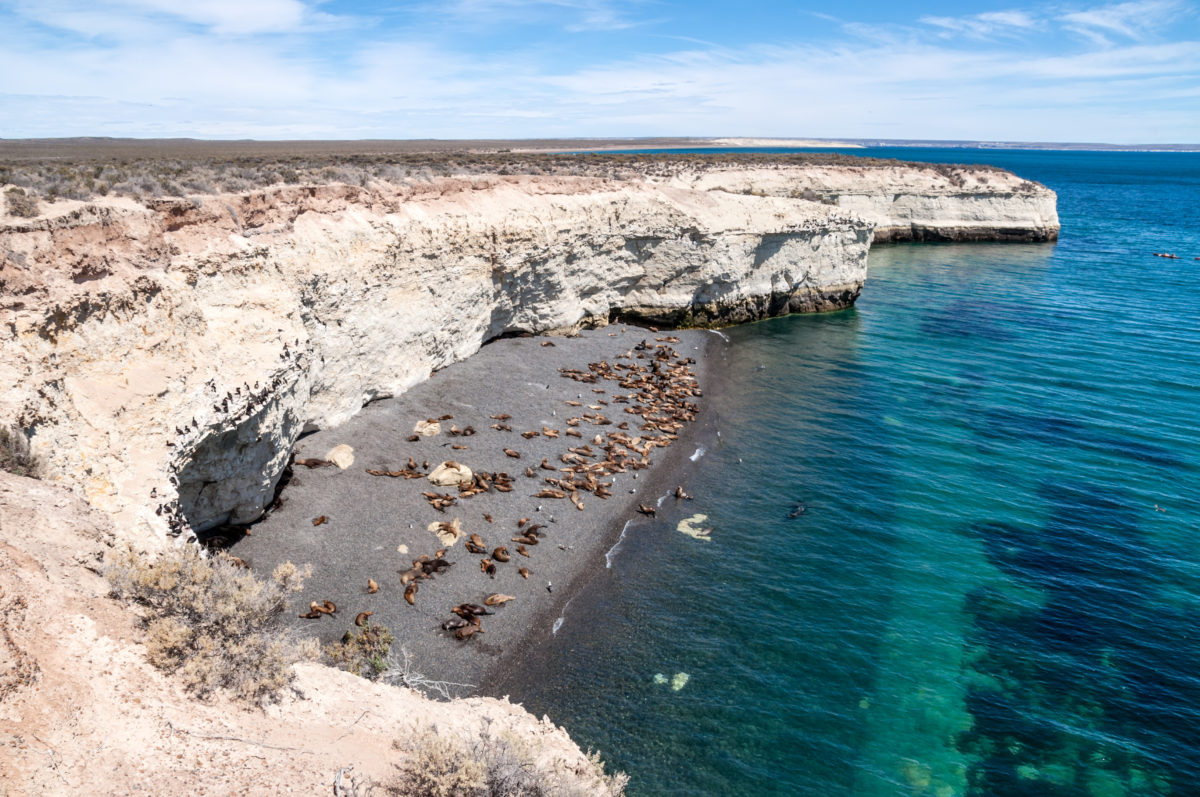 Puerto Madryn