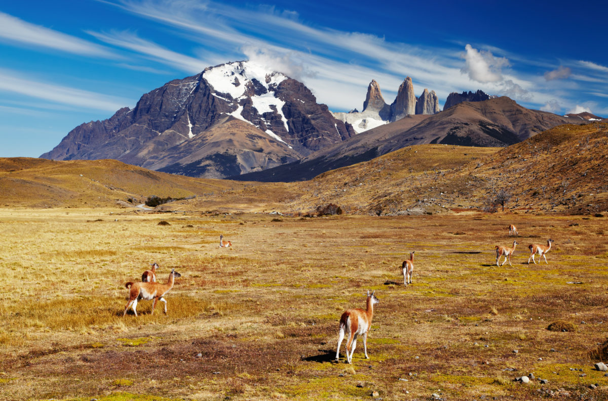 Torres del Paine, Patagonia, Chile Torres del Paine