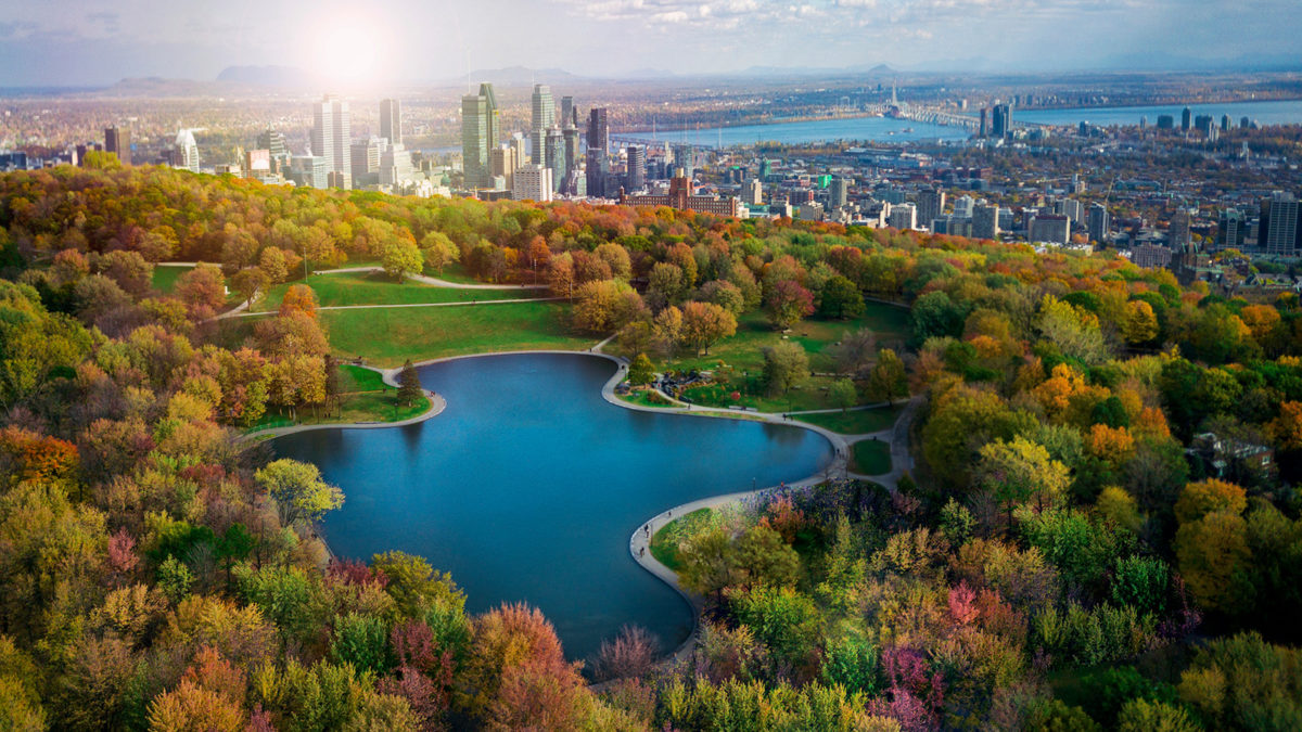 shutterstock_1209708244 Montreal: Ideálne miesto pre vstup do Kanady (priamy let z Viedne teraz za 539€!)