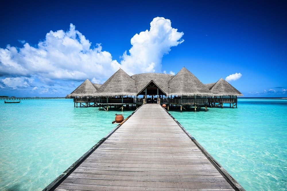 maldivy