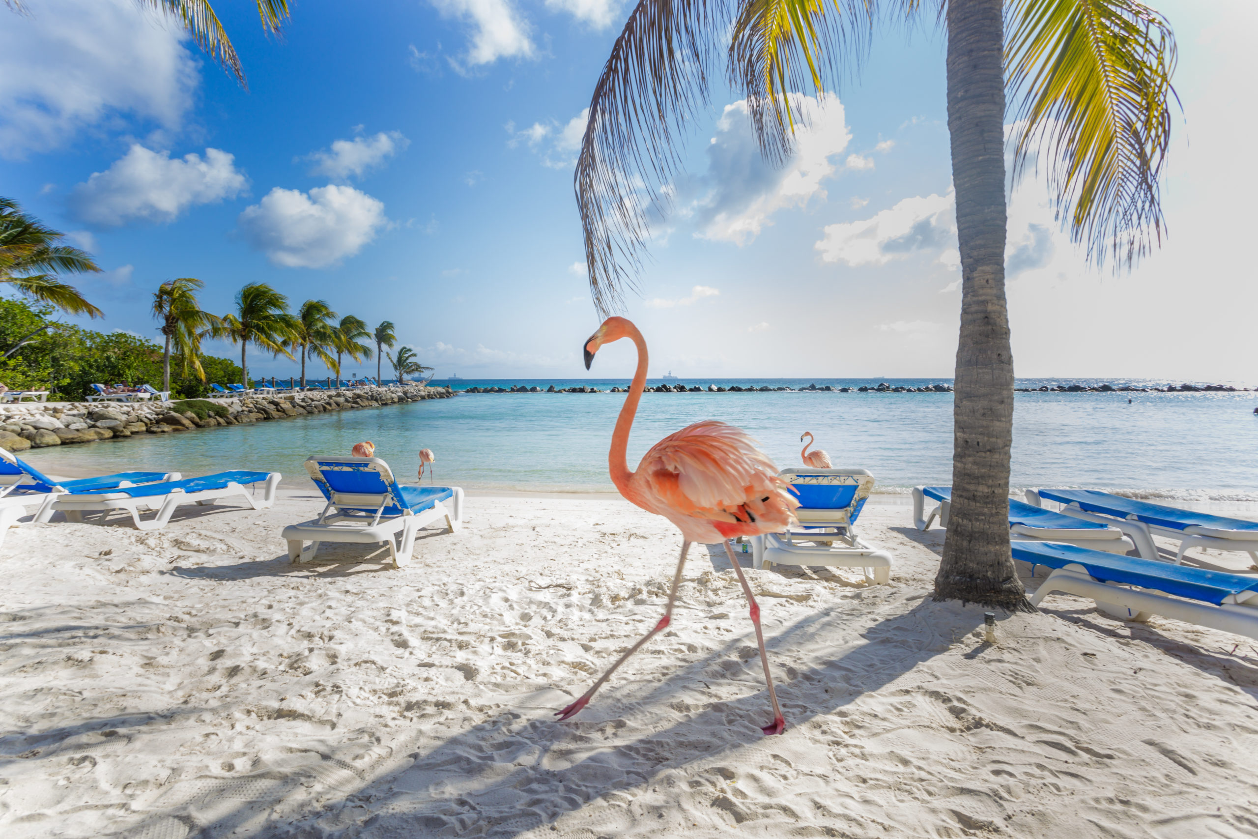 aruba Aruba zriadila homeoffice snov. Pracovať môžeš priamo na pláži