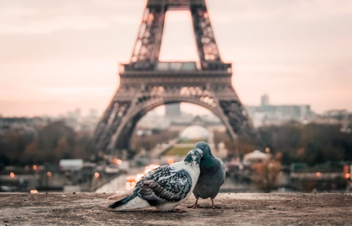 fabrizio-verrecchia-bQxGg8Vx1Vc-unsplash Čo robiť v Paríži, keď prší? Pozri si 10 tipov