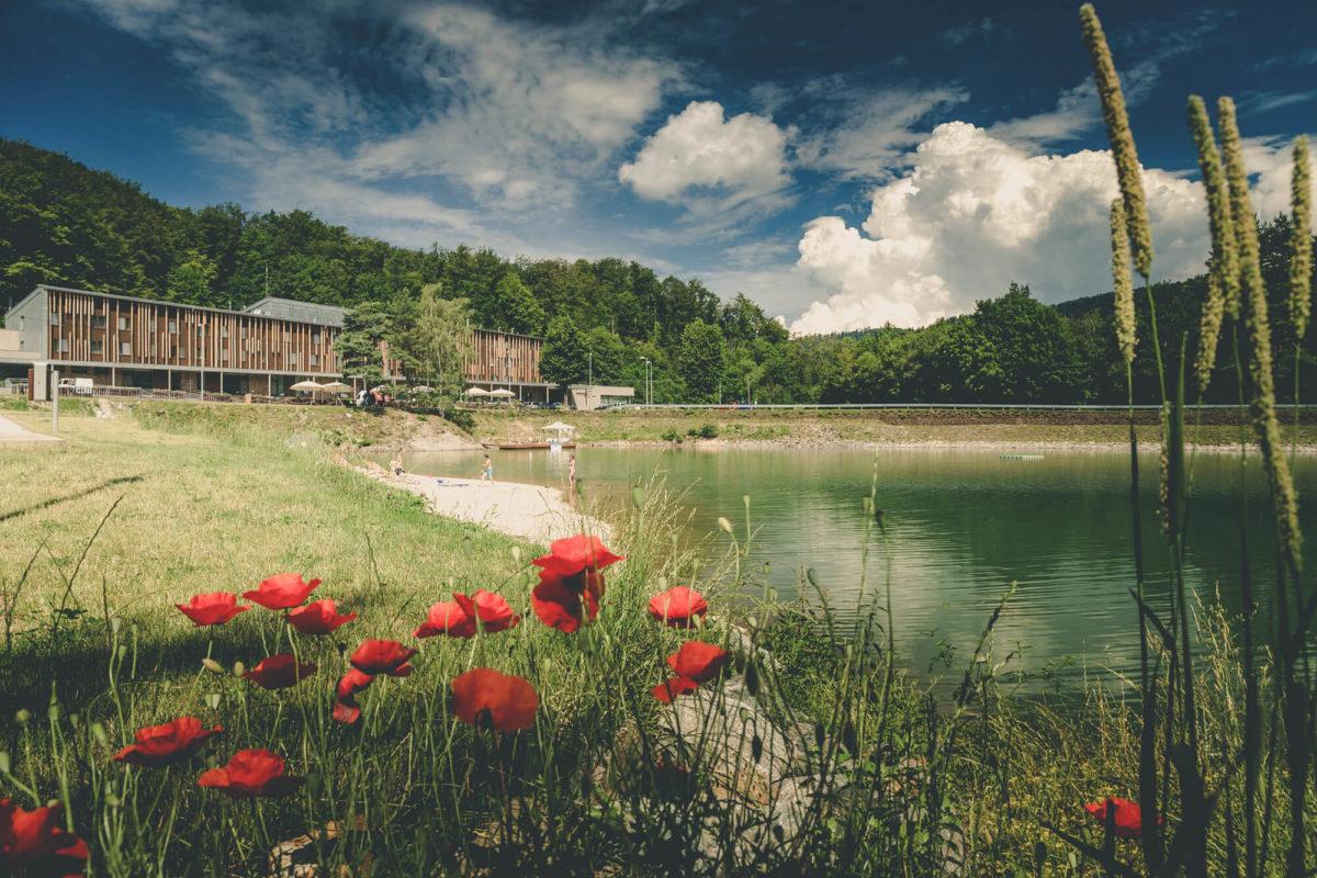 hotel salamandra