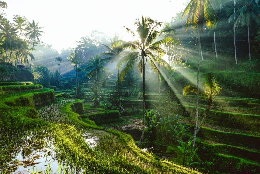 bali