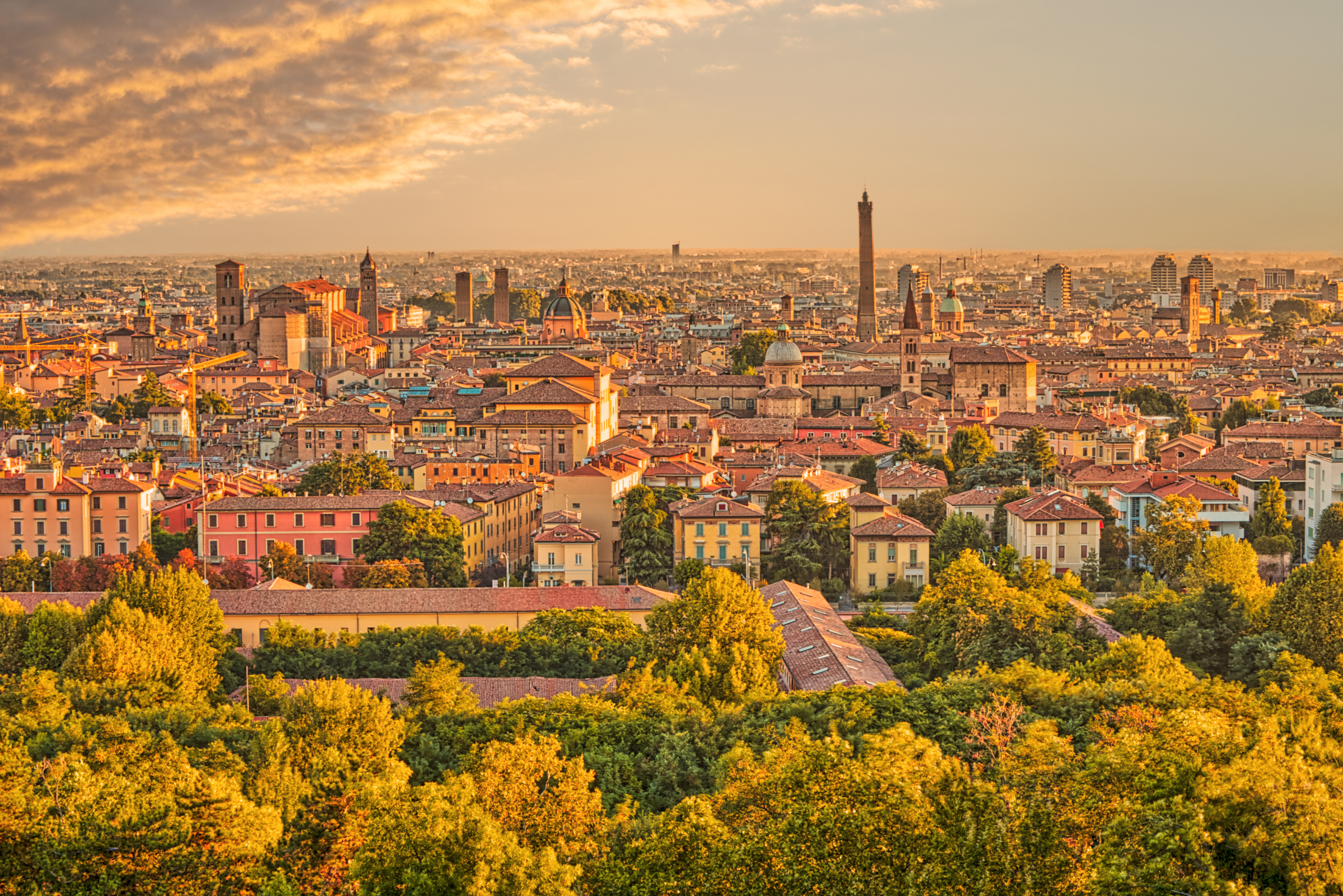 bologna bologna