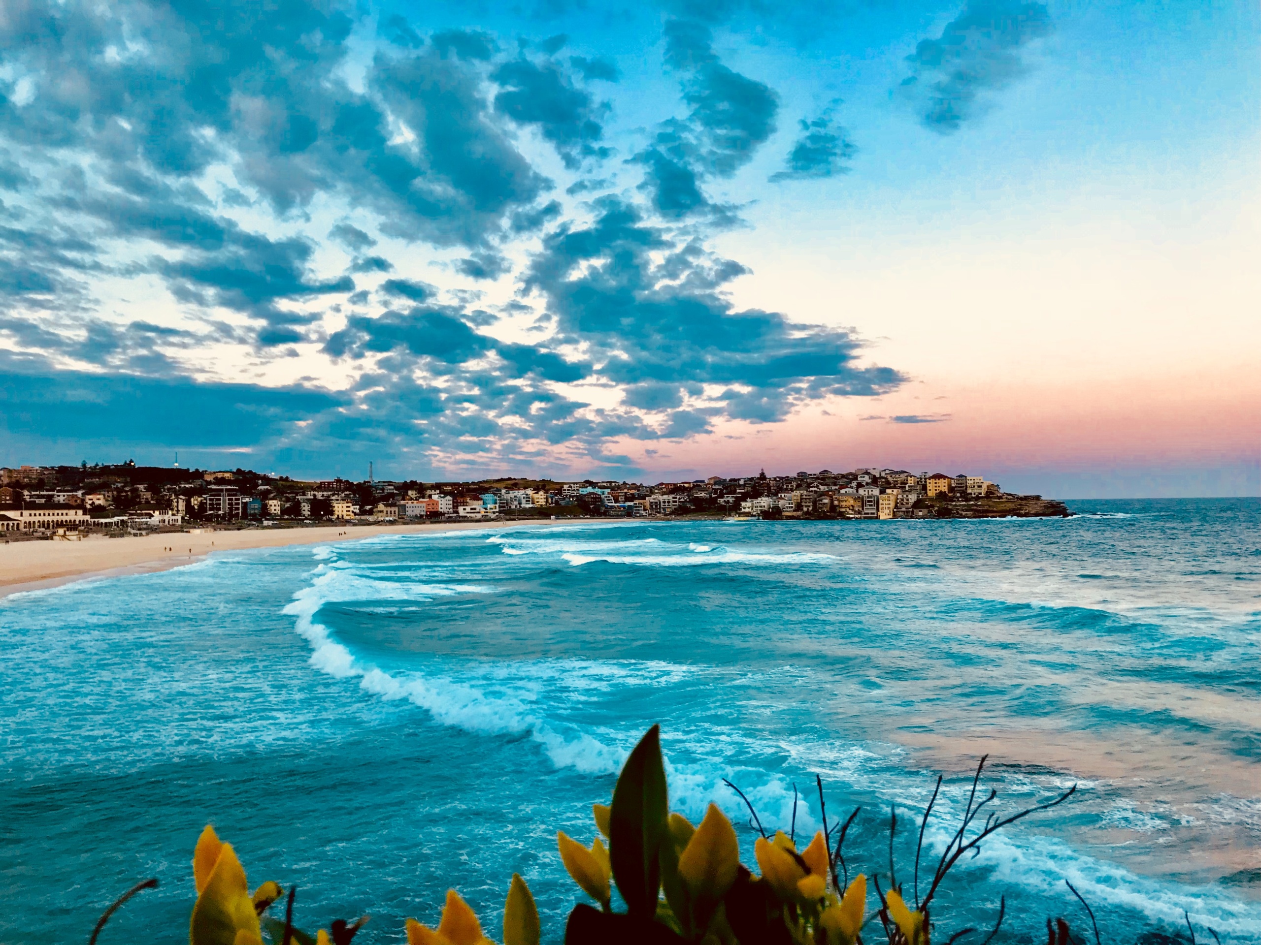bondi beach Známu pláž Bondi v Austrálii opäť otvorili