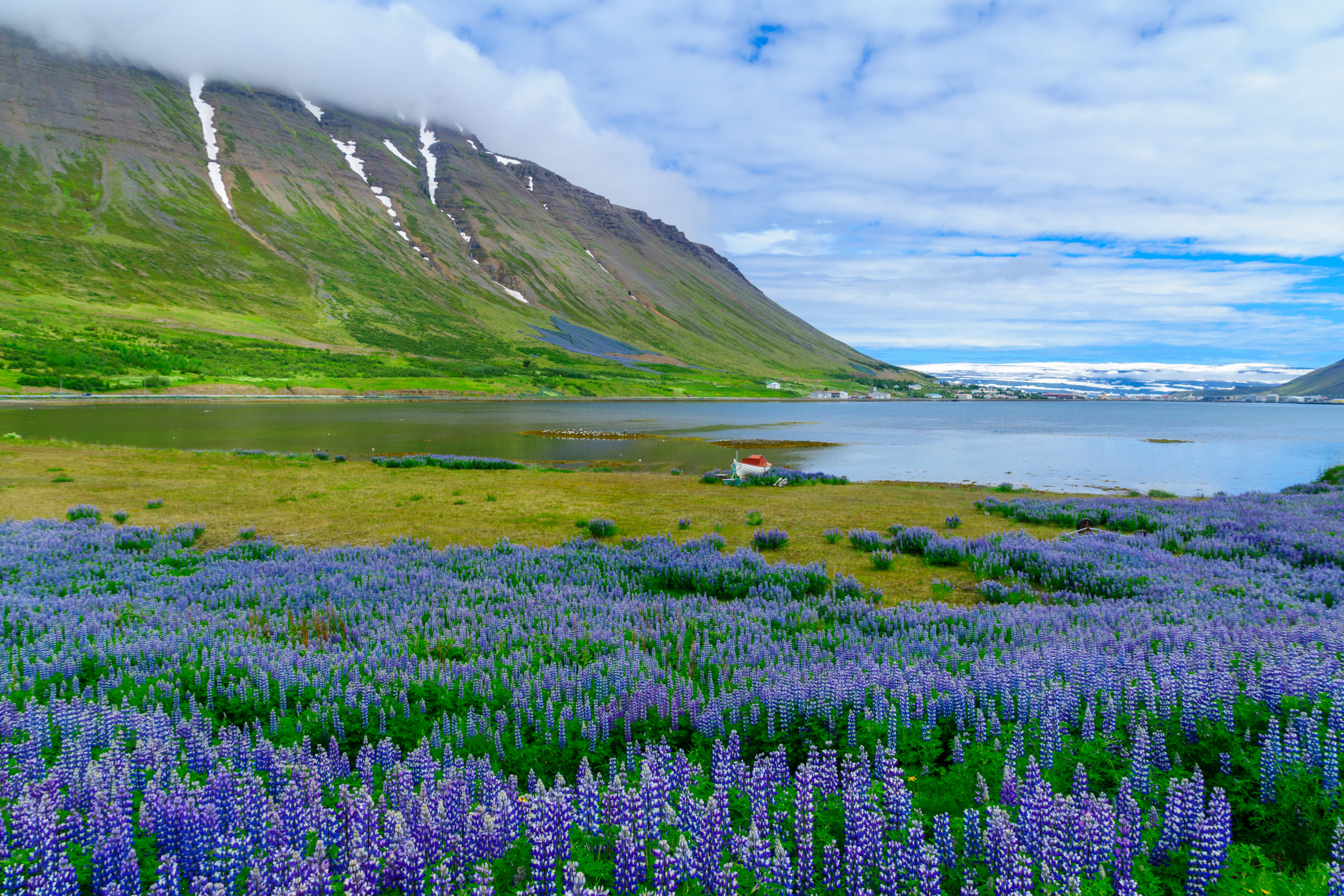 isafjordur island Pol roka na Islande? Krajina rozdáva víza digitálnym nomádom