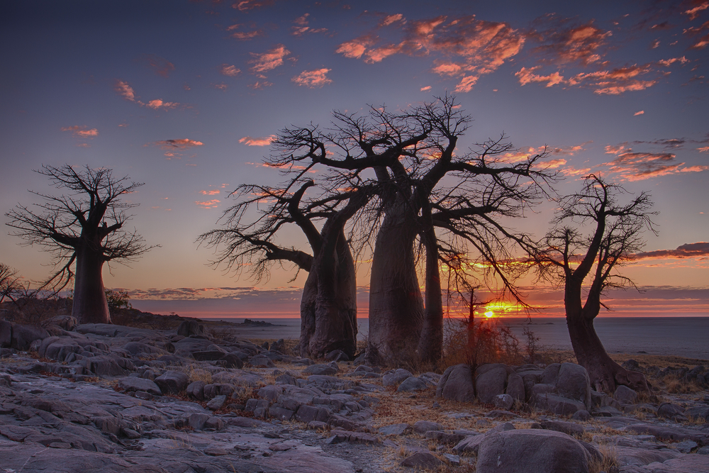 botswana Botswana sa otvára zahraničným návštevníkom. Potrebujú test na COVID-19