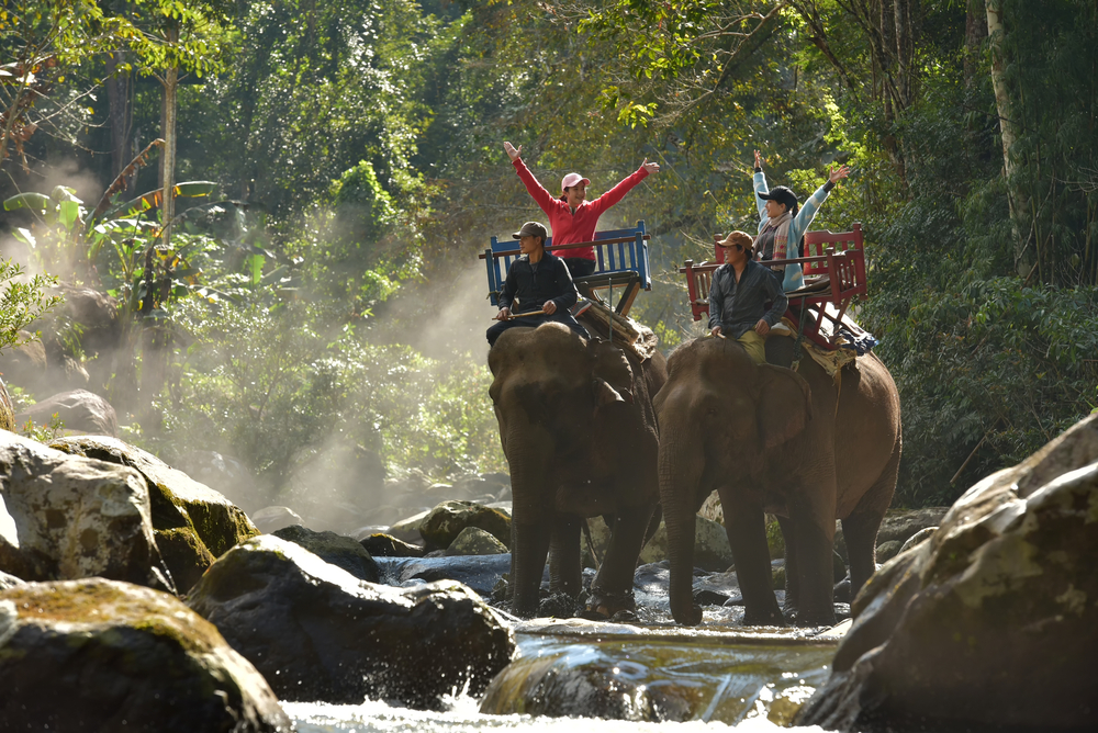 slony vietnam Srí Lanka sprísnila ochranu slonov. Opití turisti sa už na nich neodvezú