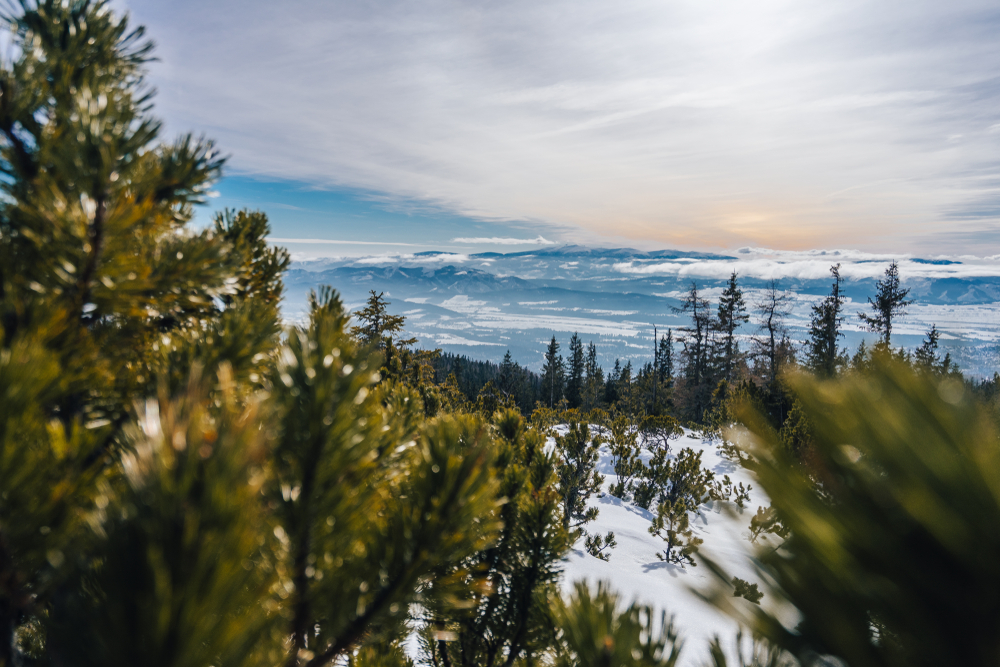 tatry Kam na túru v novembri? 6 tipov na jednodňové túry po Slovensku