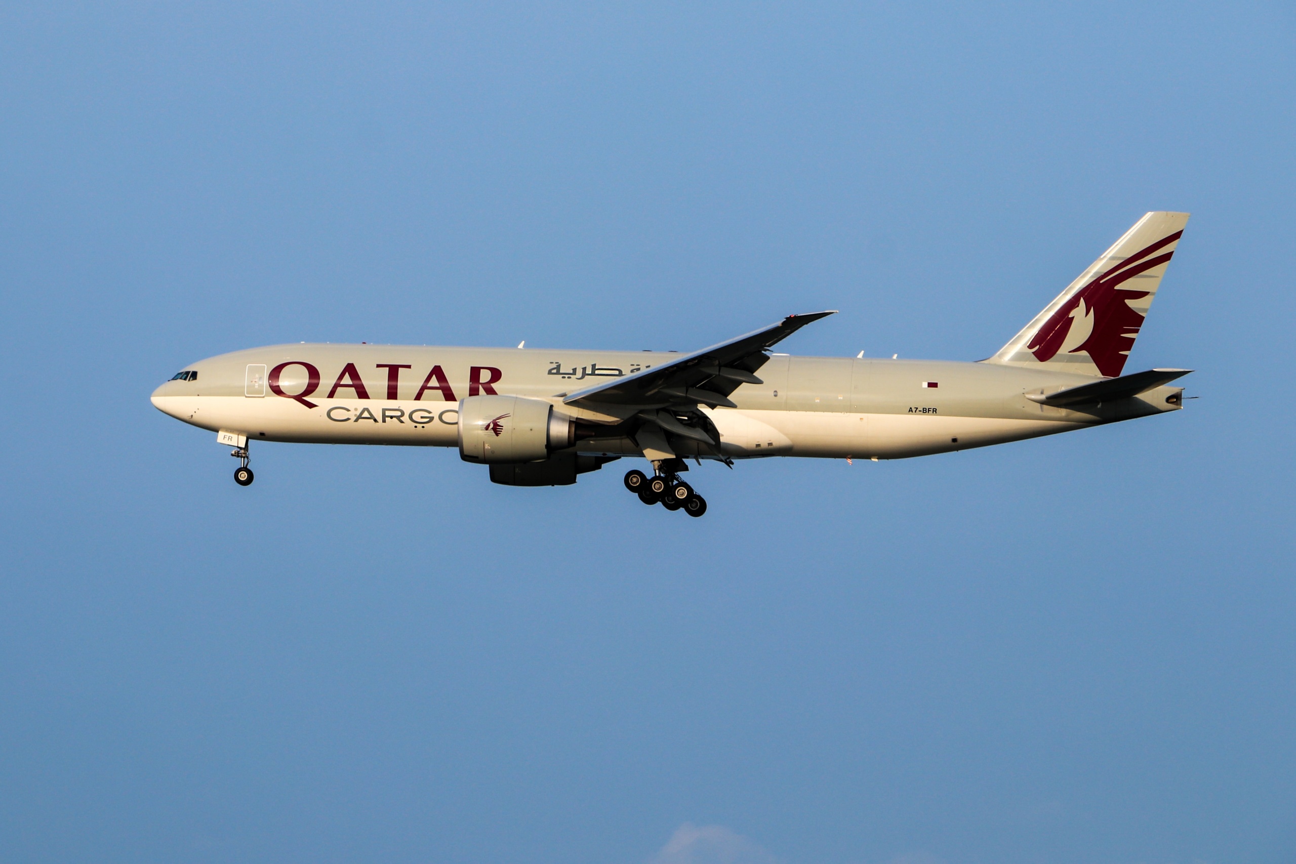 Qatar Airways sa zaviazali, že pomôžu dostať ohrozené druhy zvierat bezplatne domov