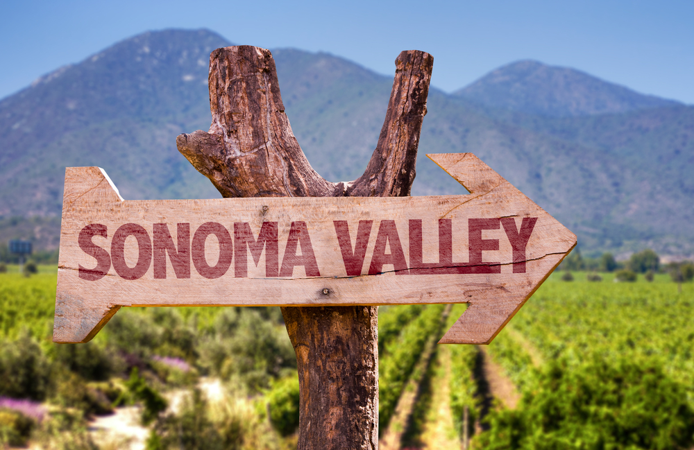 sonoma valley Obľúbená vináreň v Kalifornii hľadá kandidáta, ktorého ubytuje a zamestná na rok