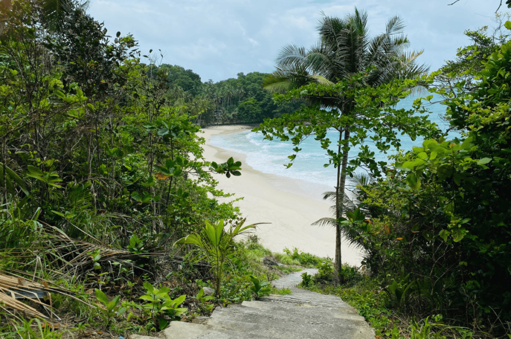 freedom beach phuket