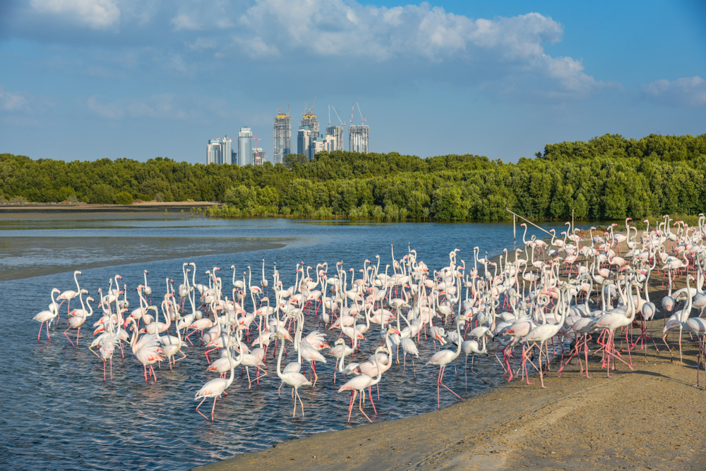 Ras Al Khor dubaj