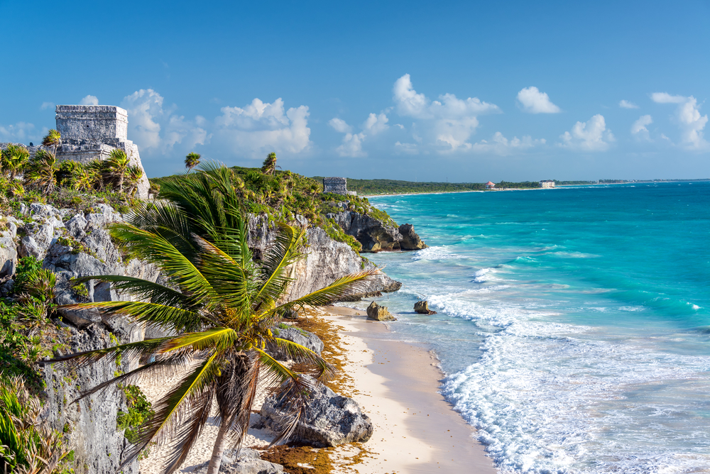 Ruins,Of,Tulum,,Mexico,And,A,Palm,Tree,Overlooking,The mexiko tulum