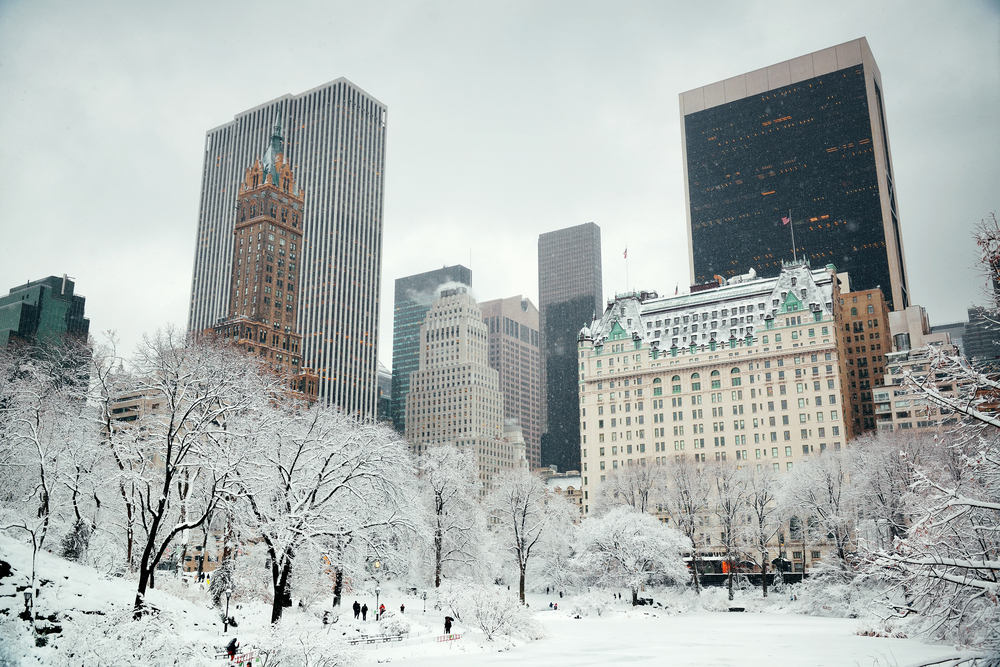 central park v zime new york