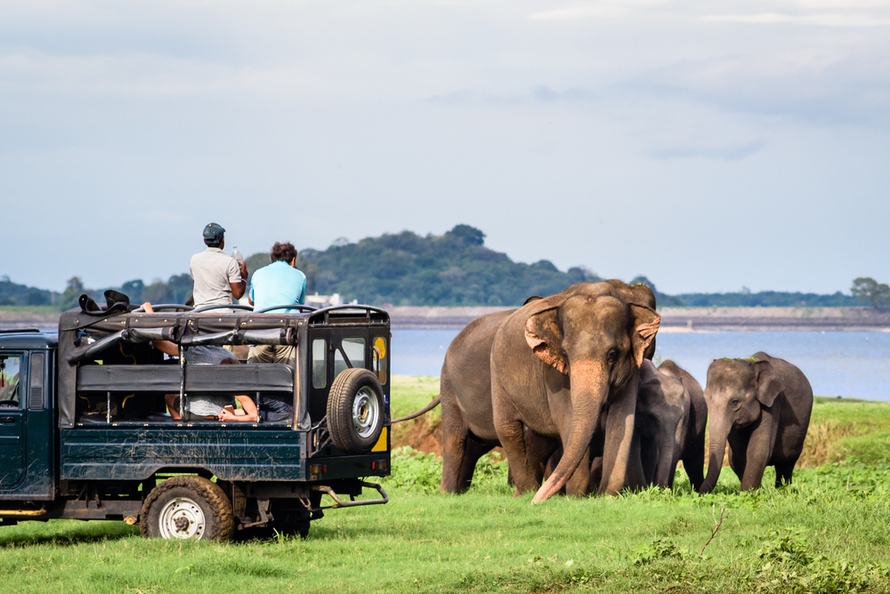 minneriya sri lanka