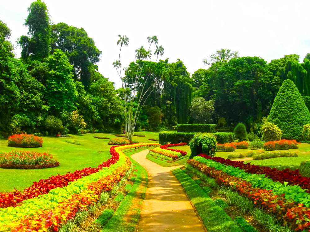  Peradeniya sri lanka