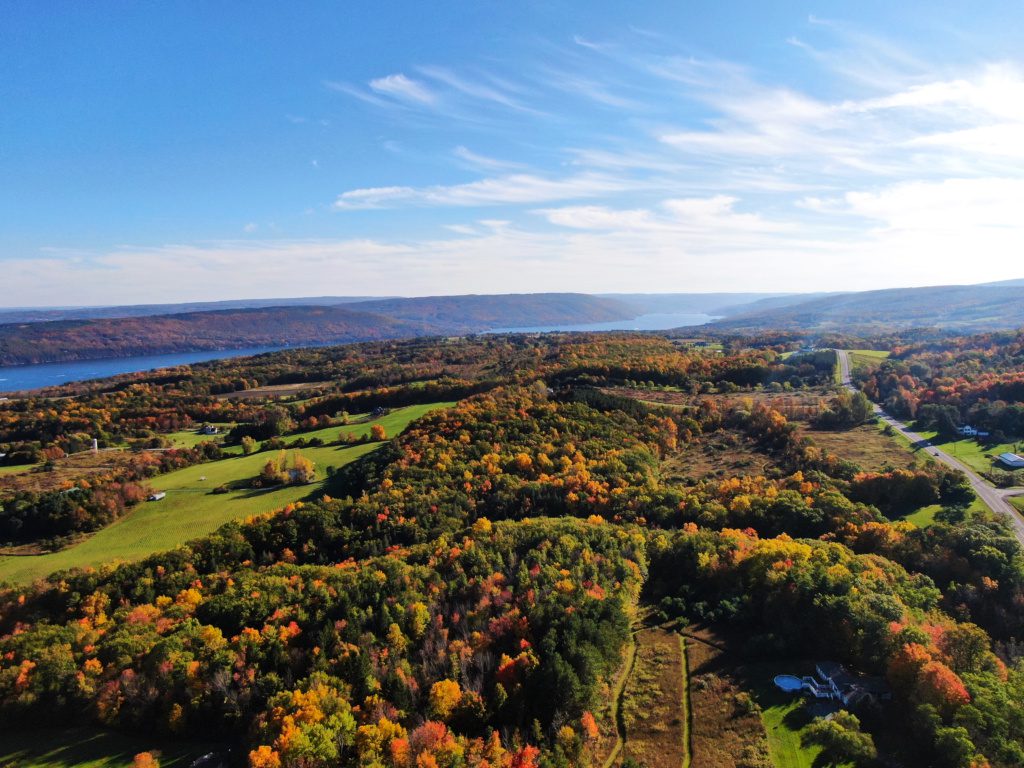 Canandaigua finger lakes