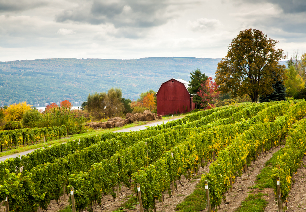 finger lakes