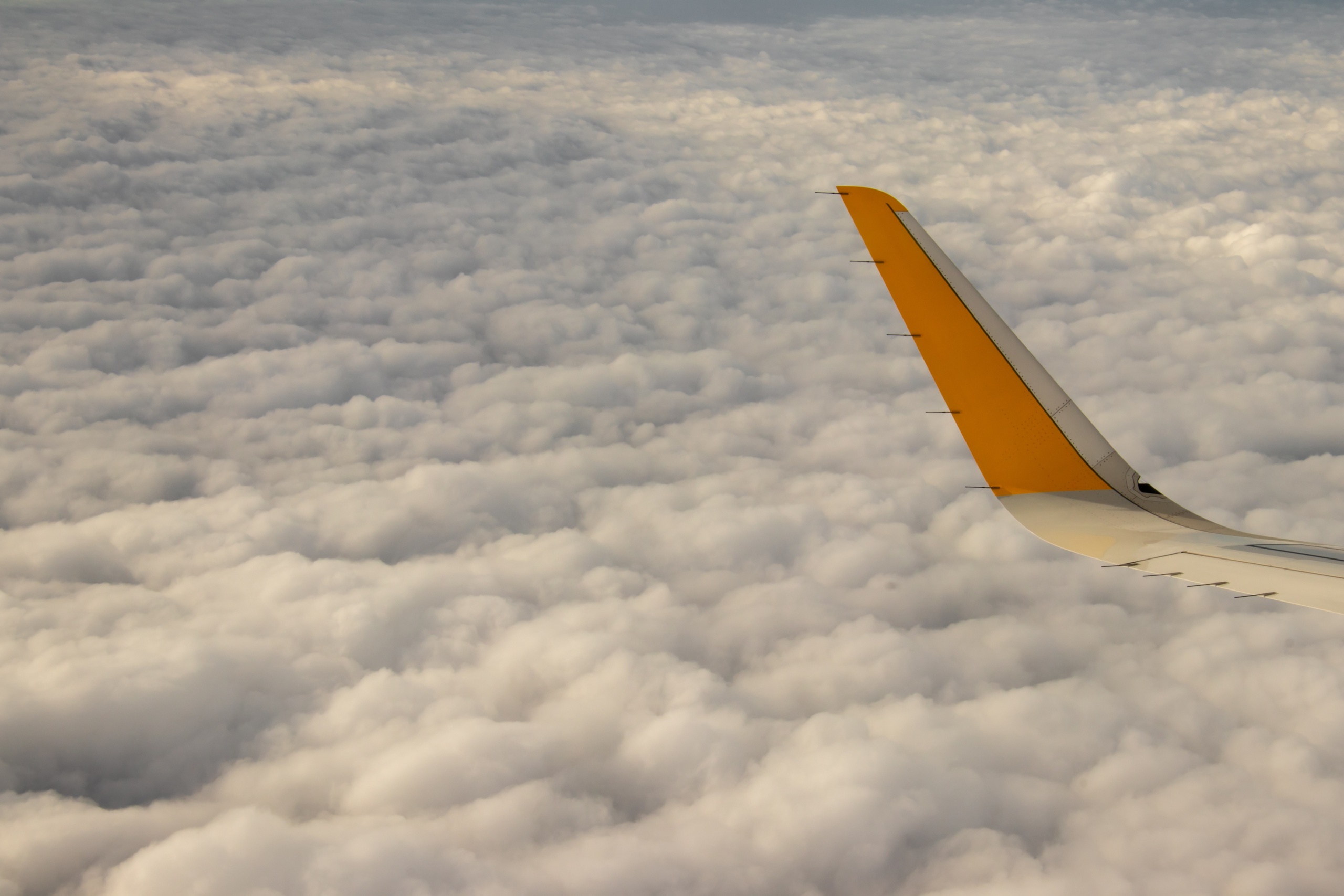 vueling aerolinky Aerolinky Vueling sprísňujú batožinové pravidlá. Za príručnú batožinu si priplatíme