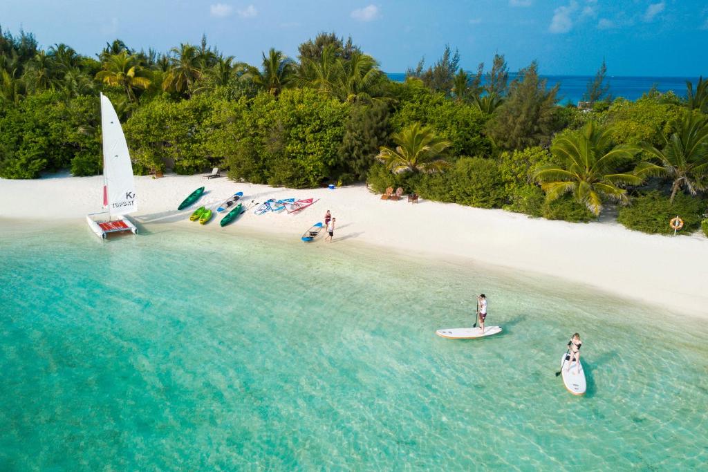 maldivy summer island