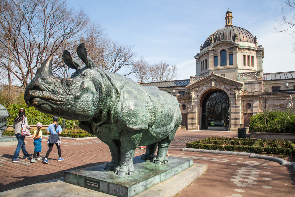 bronx zoo