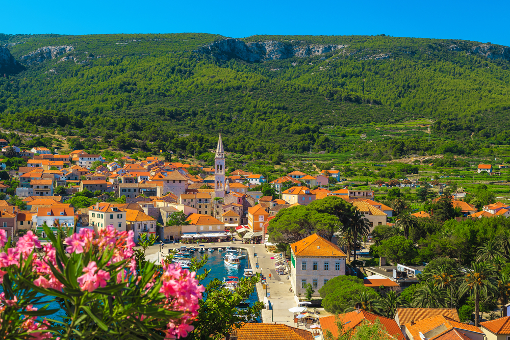 jelsa