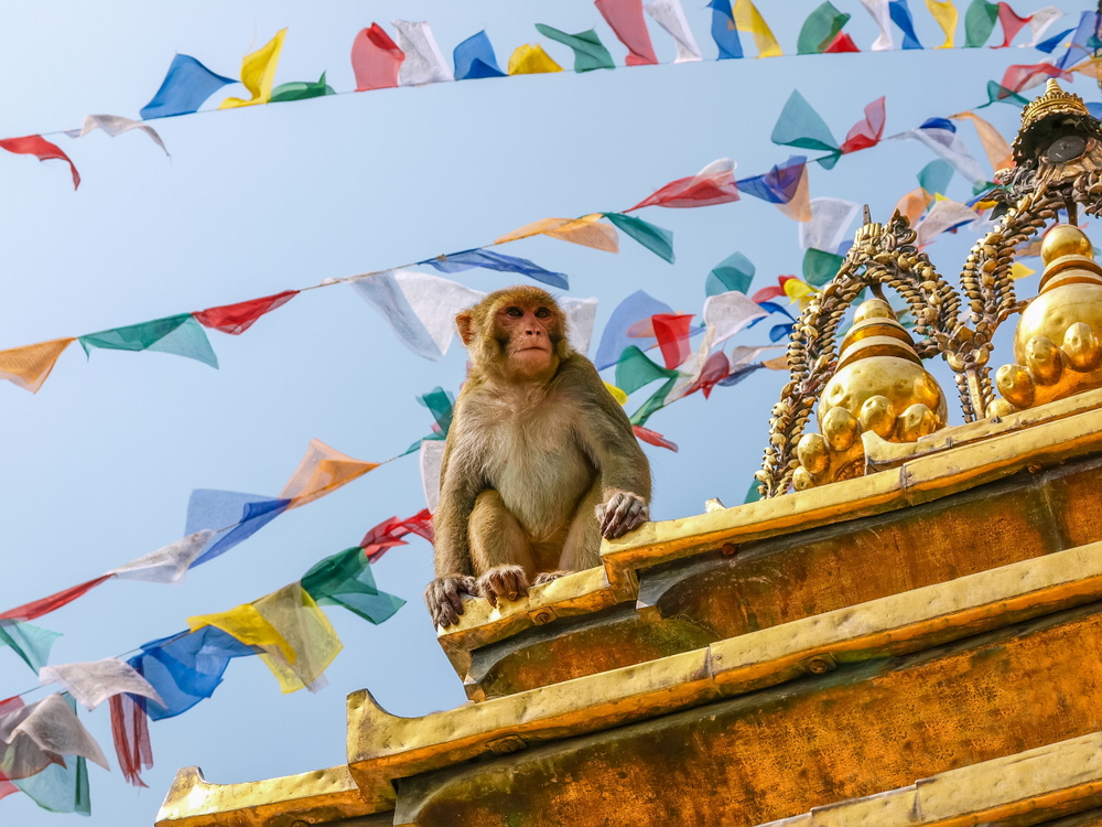 Swayambhunath