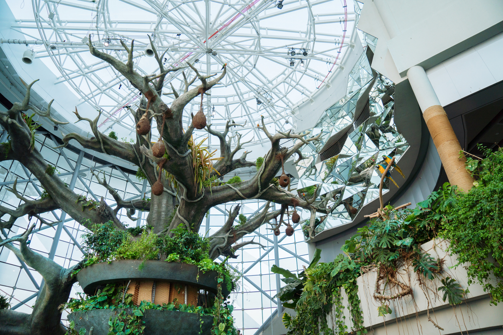 green planet dubaj